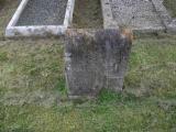 image of grave number 270003